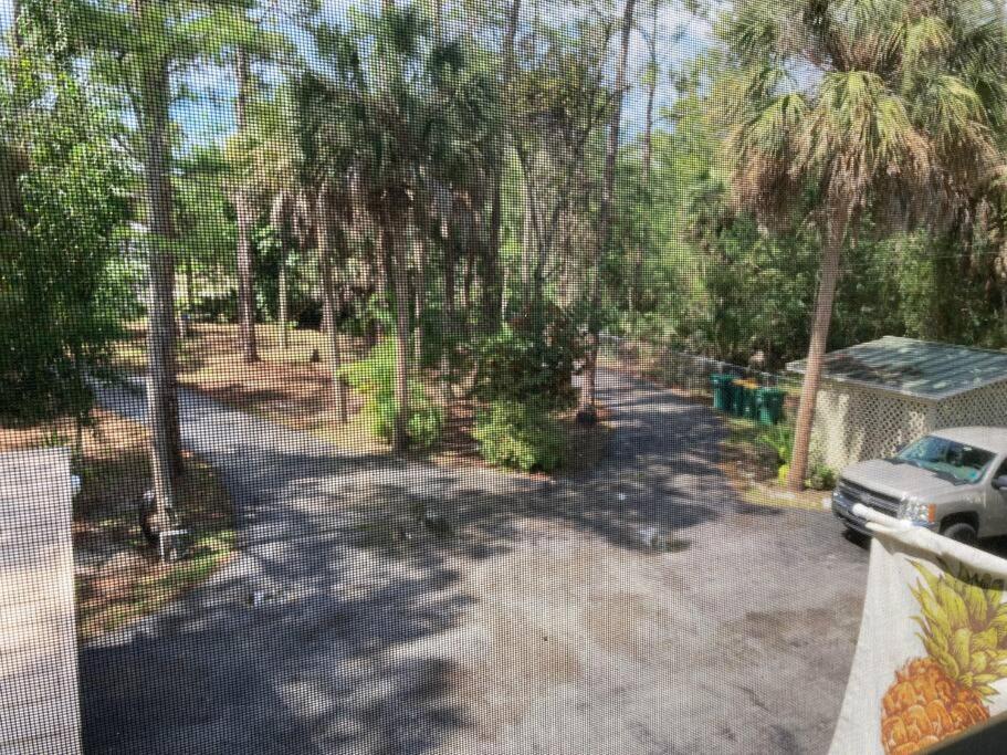 North Naples "Mia'S Place" Beautiful Private Apartment Surrounded By Nature المظهر الخارجي الصورة